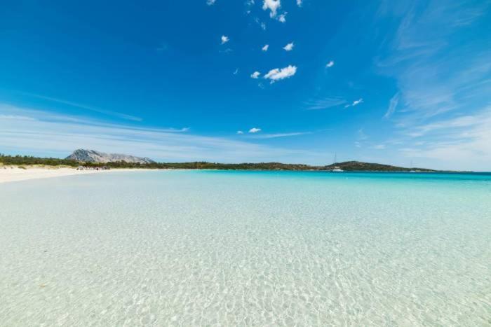 Marina Of Olbia Apartment Cin R3714 외부 사진